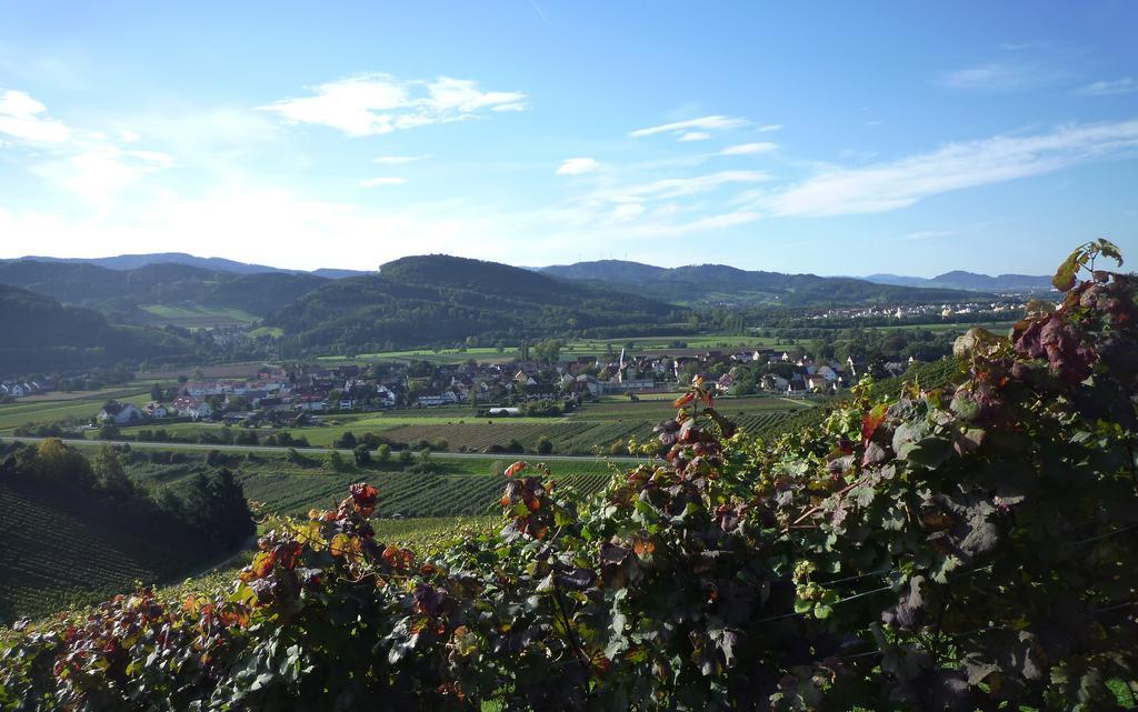 Hotel & Gasthaus Loewen Waldkirch Dış mekan fotoğraf